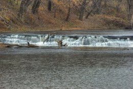 Hindostan Falls