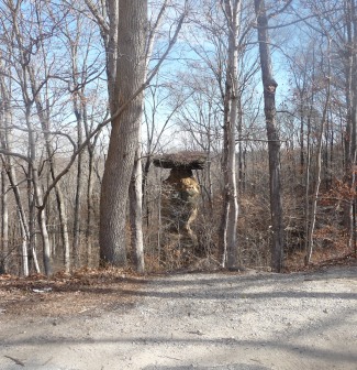 Shoals Jug Rock